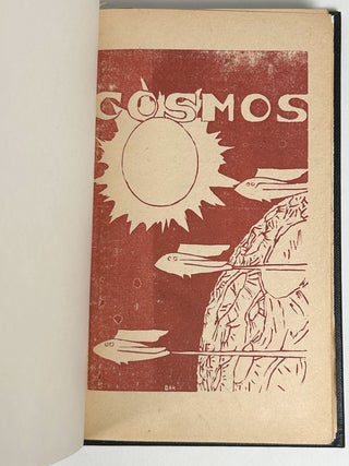 COSMOS (SERIAL NOVEL).
